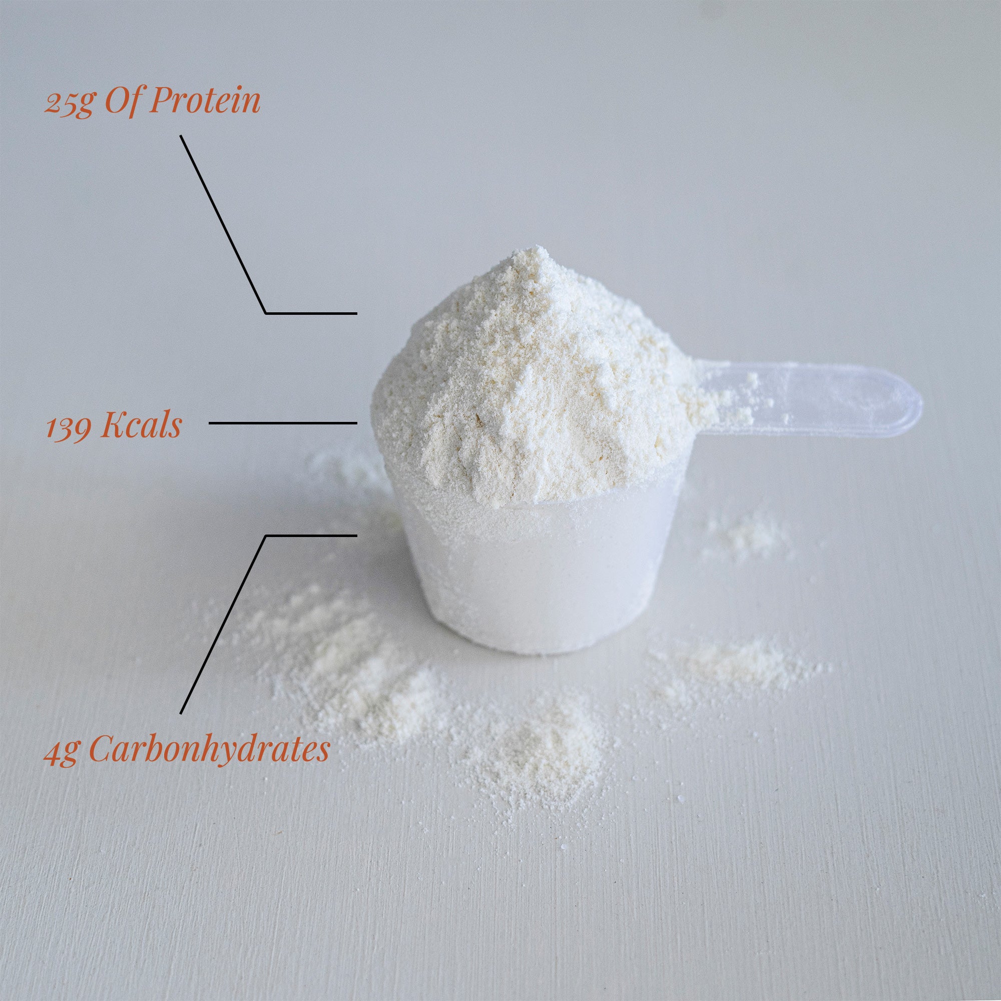 Diätprotein (Karamellkeks) 1 kg & freier Schüttler (Verpackung kann variieren)